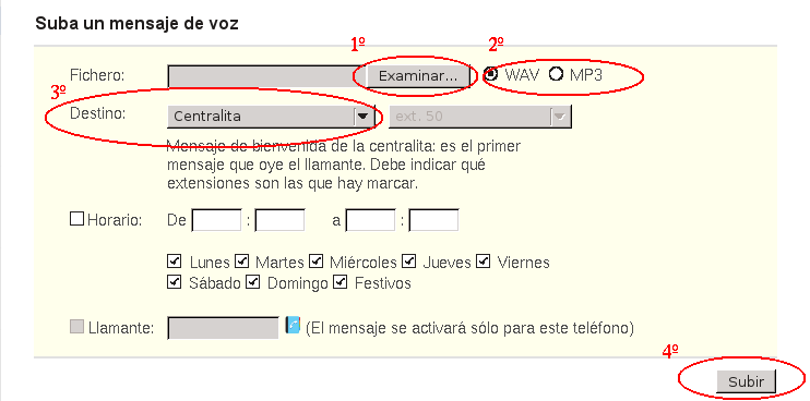 Archivo:Ct.solo con ext.8.png